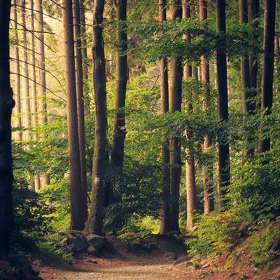 篮球体育彩票app截图